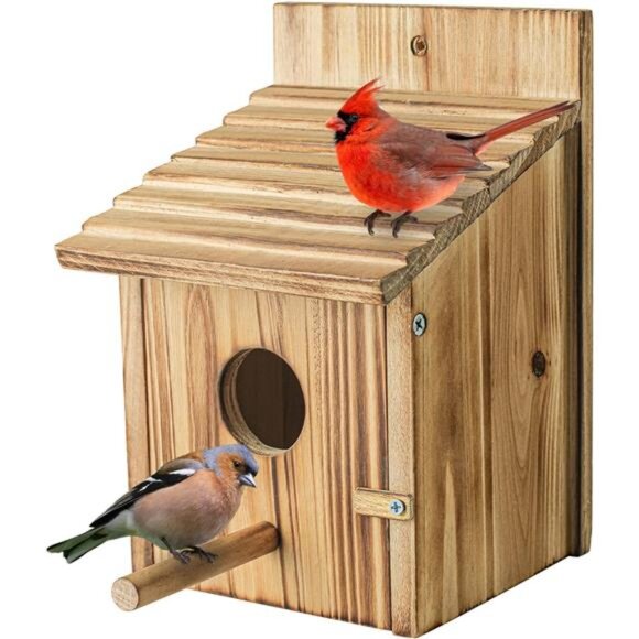 Wood Bird Houses for Outside with Pole Wooden Bird House for Finch Bluebird - Picture 1 of 7
